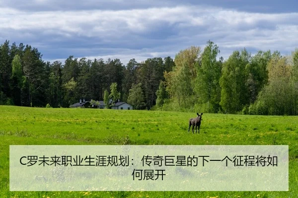 luo-wei-lai-zhi-ye-sheng-ya-gui-hua-chuan-qi-ju-xing-de-xia-yi-ge-zheng-cheng-jiang-ru-he-zhan-kai-2-924.jpg